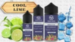 COOL LİME DIY KIT [VENSA]